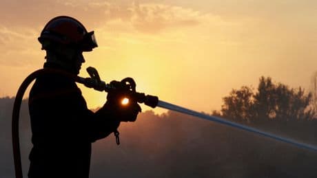 Charente: un incendie détruit plus de 200 hectares de végétation
