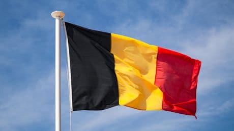 Belgique : photographié en slip avec un drapeau nazi sur le dos, un jeune élu plaide une «erreur» de jeunesse