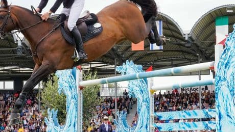 Reitsport: Der CHIO-Rekordreiter, der sich zu früh freute