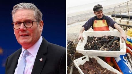 Fishermen slam Keir Starmer's 'insulting and patronising' EU Brexit betrayal