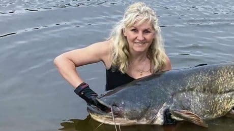 Fisch-Rekord in Brandenburg - Anglerin fängt Riesen-Wels