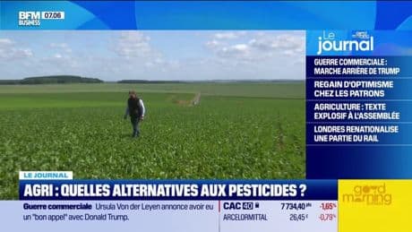 Agriculture : quelles alternatives aux pesticides ?