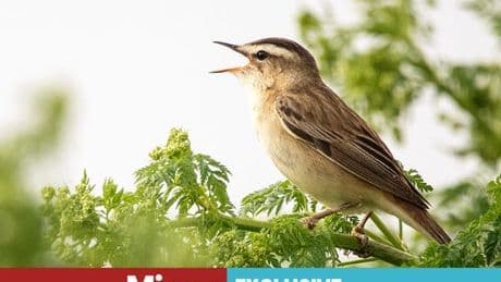 Gardeners urged to do one important thing this month to ensure great joy