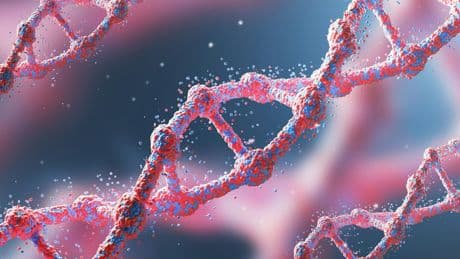 Comment de l'ADN viking aide les chercheurs à traquer les origines d'une mutation génétique protégeant du VIH