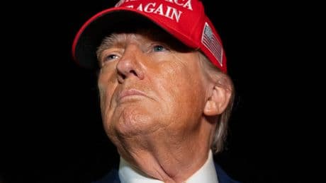 Expertin: Zollstreit mit Trump bedroht Zukunft der EU