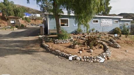 California nudist resort sues its owner after residents are forced to wear clothes