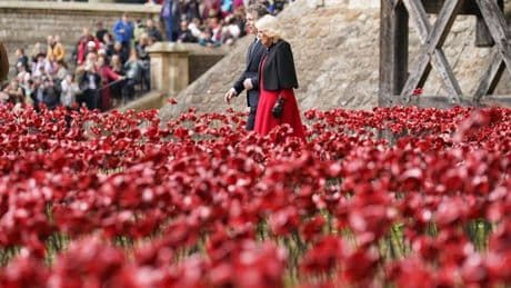 Emotional Queen Camilla admires 30,000 poppies in striking new WWII installation