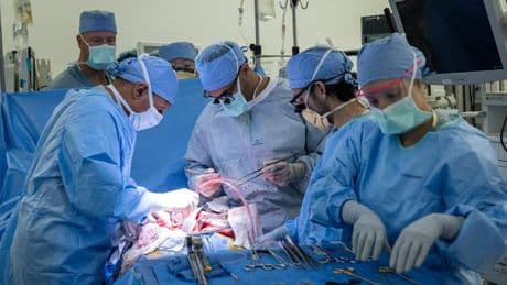 Weltweit einzigartig - Erstmals erfolgreich Blase transplantiert
