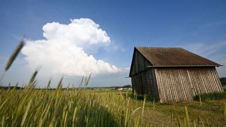 Sonne kommt zurück: Die Sonne kommt zurück: Kleiner Sommer im Anmarsch