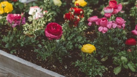 6 gardening tools to keep your outdoor space weed free