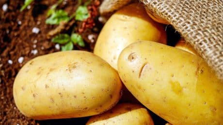 Marruecos dispara sus exportaciones de patata: estos son los países que lideran las compras