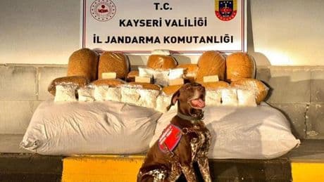 Kayseri'de yolcu otobüsünde 450 kilogram kaçak tütün ele geçirildi