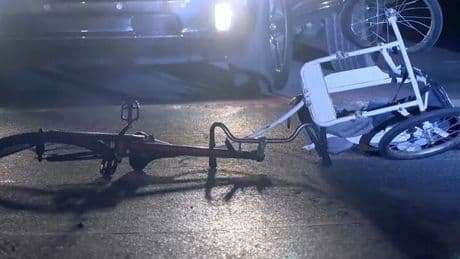 Tragic final moments of boy, 4, killed after car ploughed into him while on bike ride with his dad