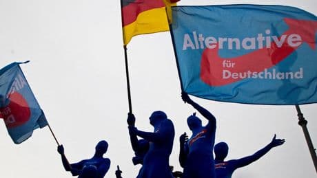 AfD Brandenburg: Extrem rechts, extrem loyal