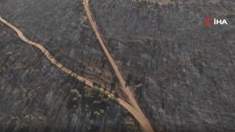 Uşak’ta devam eden yangının tahribatı gün ışığıyla ortaya çıktı
