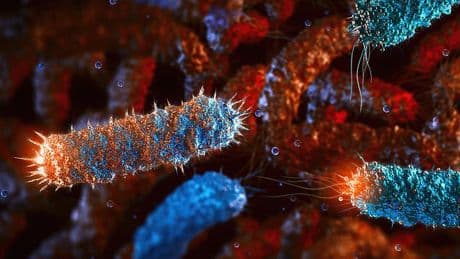 Scientists create a new form of life unlike anything in nature