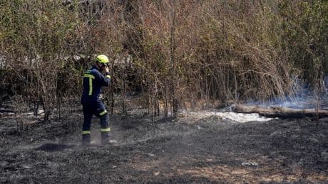 Provinz León: Feuerwehrmann stirbt bei Einsatz gegen Waldbrand in Spanien