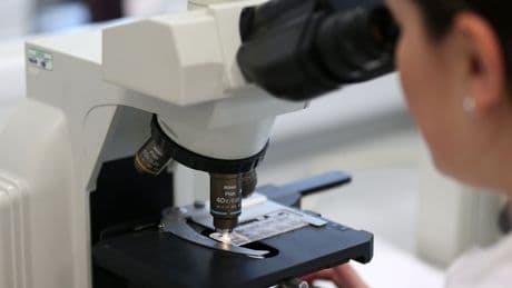 Scientists link gut bacteria to early stages of Parkinson’s disease