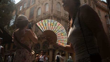 Behörden warnen Bewohner und Urlauber - 40 Grad! Mallorca stöhnt unter Hitzewelle