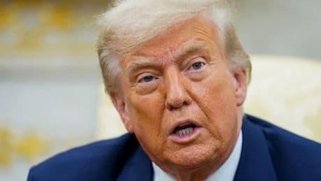 Trump will einige Epstein-Unterlagen veröffentlichen