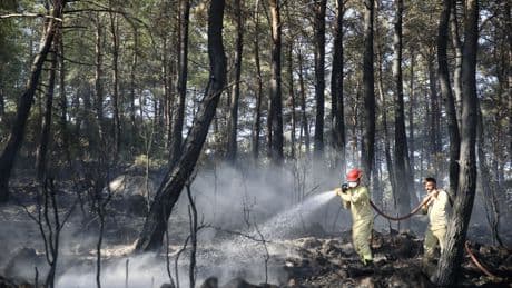 Muğla'dan sevindirici haber: Orman yangını kontrol altına alındı