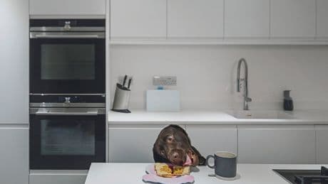 Een huisdier is geen garantie voor geluk