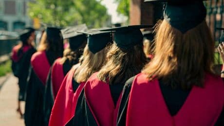 Comment certains pays tentent de tirer profit de la crise des universités américaines