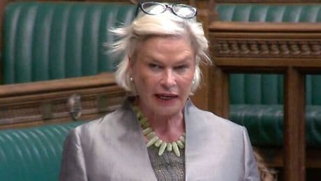 Moment Lib Dem MP addresses the Commons in French during Brexit debate