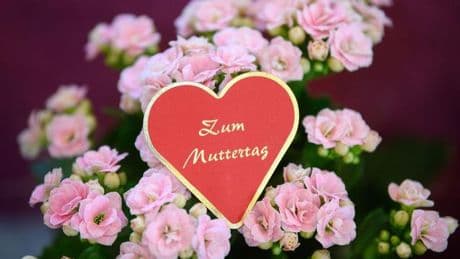 Geschenke: Handel hofft auf Muttertag: "An Mama wird nicht gespart"