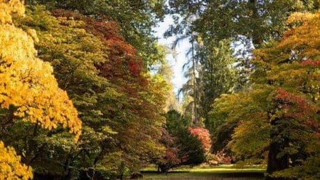 Beautiful UK destination is 'best place in world to watch the leaves turn' in September