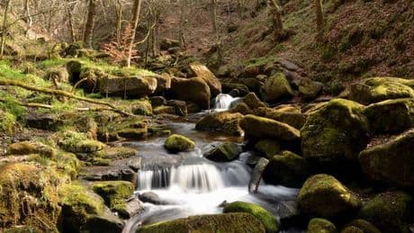 Gorgeous woodland walk in UK beauty spot that's best to do in autumn