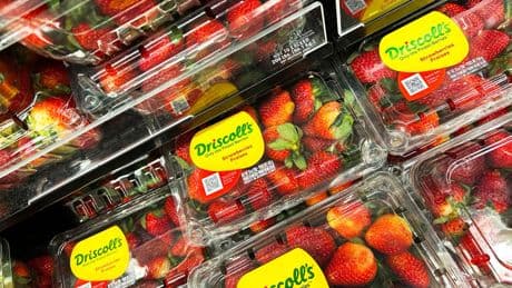 Six foods men can eat to slow aging: study