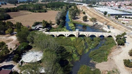 Edirne'yi kuraklık vurdu! Tunca Nehri otla kaplandı... Korkutan görüntüler!