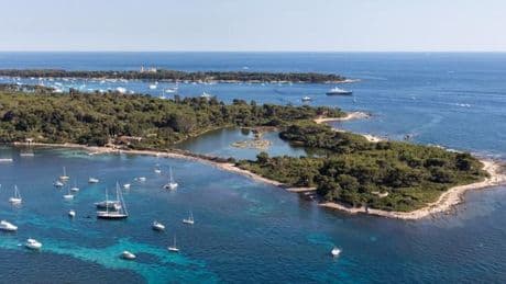 Sainte-Marguerite, entre pins et posidonie