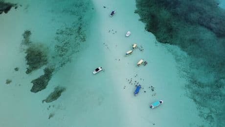 The breathtaking island that's 33C in May with dolphins, coral reefs and sea turtles