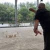 L’Open de France de mölkky se déroule ce week-end à Nantes