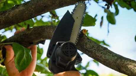 Kraut & Dübel: Mini-Kettensäge mit Akku für 70 statt 110 Euro: Garten-Deals am Donnerstag