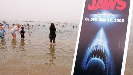 How Sharks Got Their Reputation Back From “Jaws”