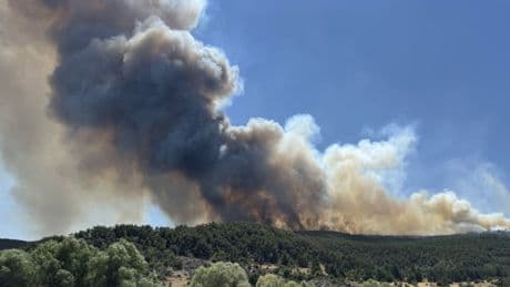 Ten killed after being surrounded by raging wildfire in Turkey