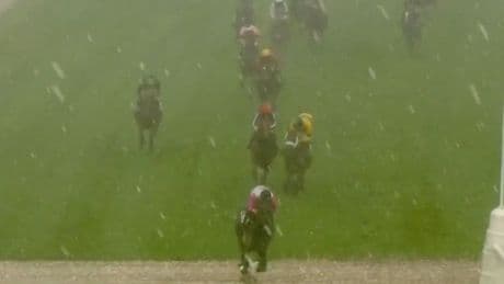 Race abandoned as jockeys hit by hailstones 'as big as golf balls' in wild scenes