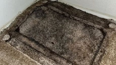 Brit ‘outraged’ at £3,000 fine for bad review about black mould infested rental home