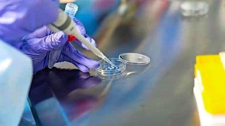 Spermadonor die in Europa 67 kinderen verwekte, blijkt ook groot risico op kanker door te geven