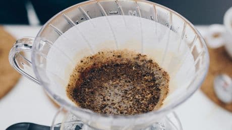 Kaffeesatz nicht wegwerfen: Wie Sie ihn sinnvoll im Haushalt verwenden