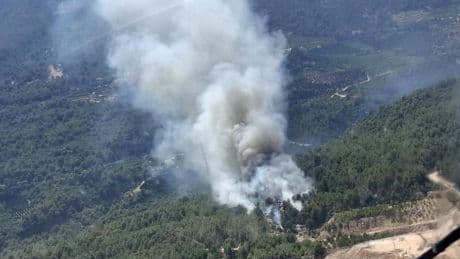 Antalya Finike’de orman yangını kontrol altına alındı: Yaklaşık 2,5 hektar alanın zarar gördü
