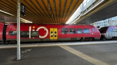 Dans le Gard, le succès du train à 1 euro pour rejoindre la mer