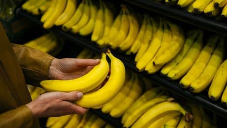 Zuckerfalle oder gesundes Obst: Wie gesund sind Bananen wirklich?