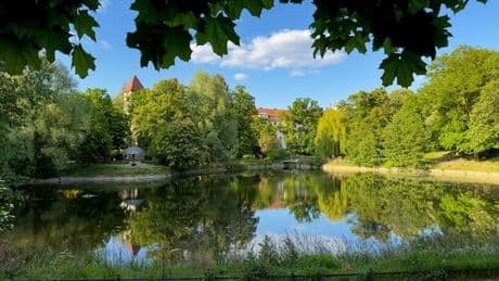 „Hauptstadtwanderer“ – Parkgeflüster in Tempelhof