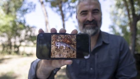 Munzur Dağları’nda yeni bir yediuyur türü keşfedildi