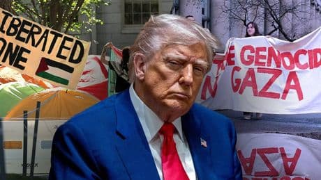 Fox News Politics Newsletter: Trump's war with Harvard