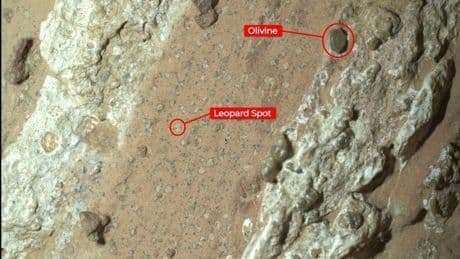 Minerals Hint At Possible Life On Mars